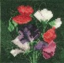 521 - Mini Sweet Pea