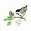 568 - Chick Berry