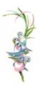 591 - Rainbow Birds