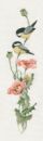 542 - Serenade in Pink