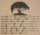 Mother's Tree